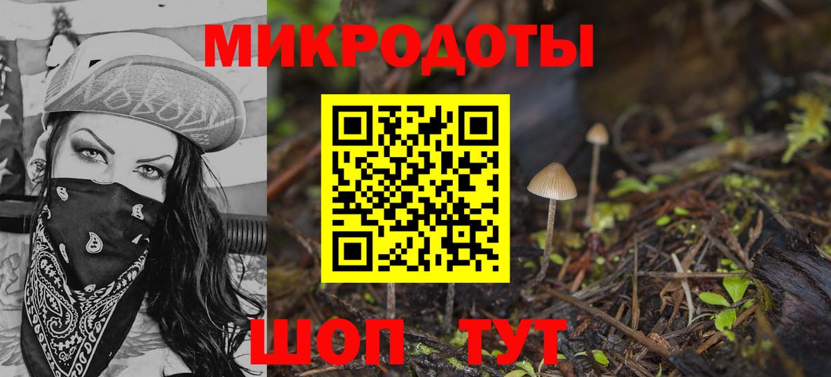 Псилоцибиновые грибы мицелий Кузнецк